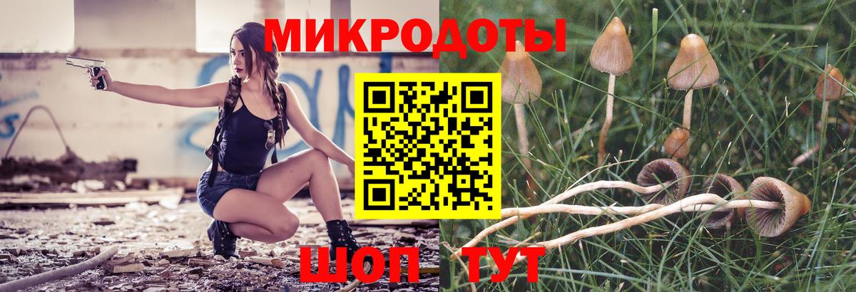 Псилоцибиновые грибы мицелий  купить  цена  Гурьевск  Вход с VPN 
